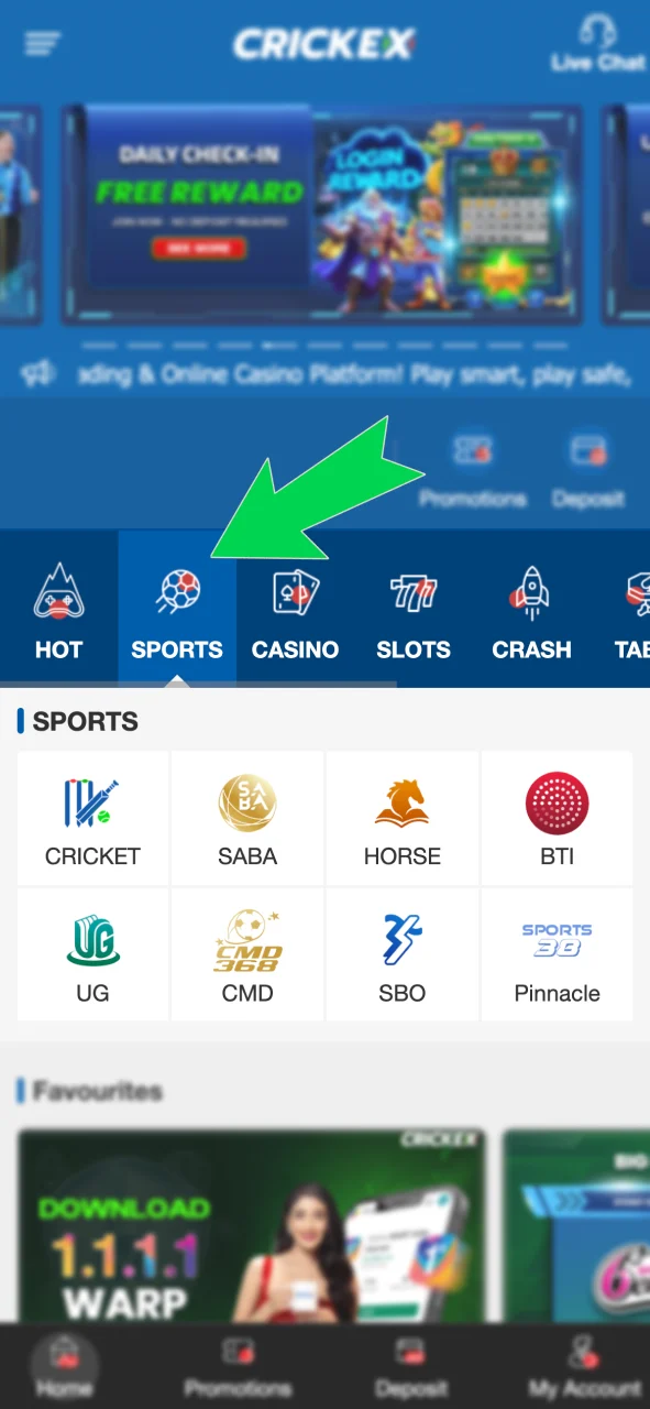 Click Sports on Crickex and explore available sportsbooks.